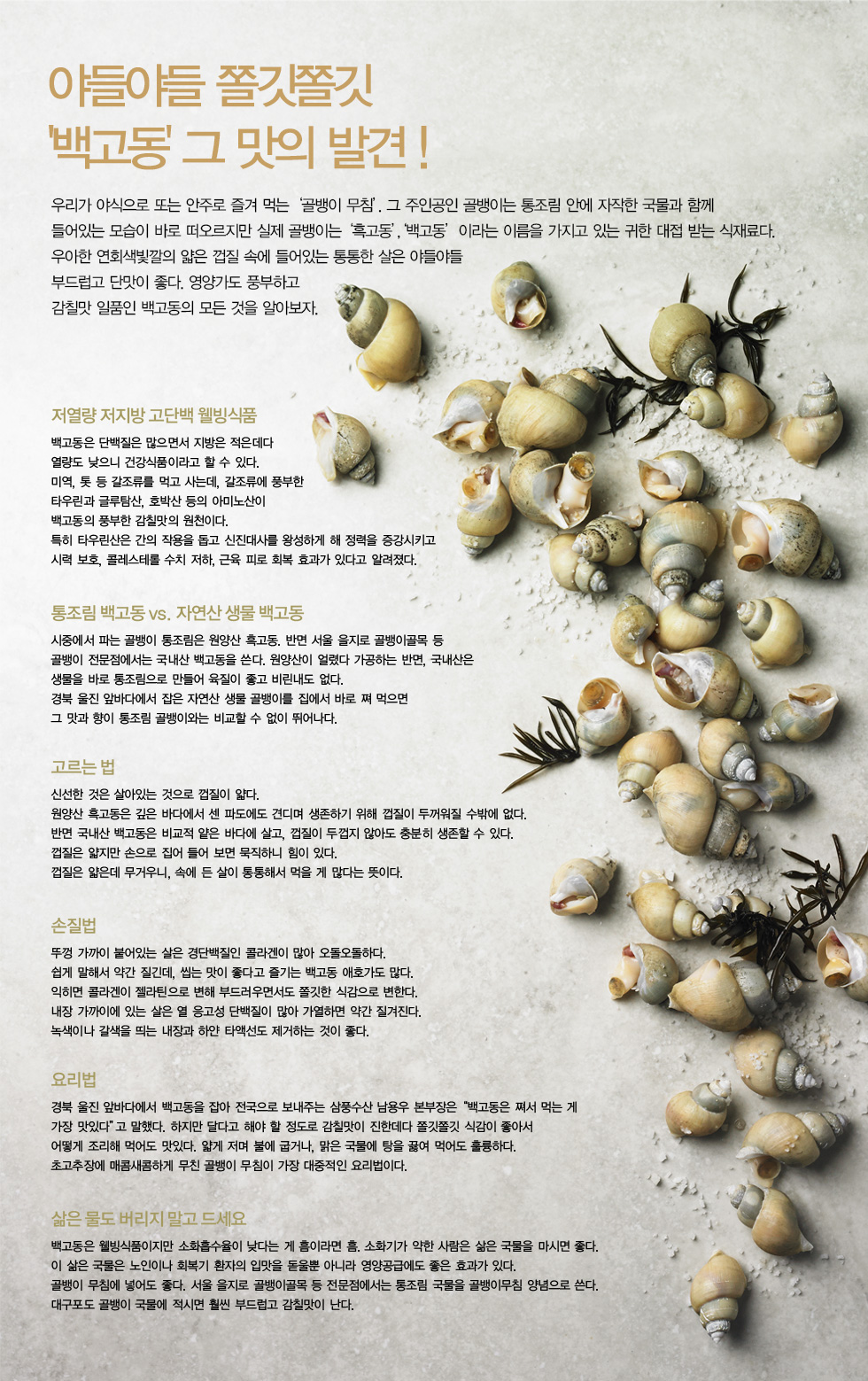 깊은 땅 속 뿌리의 맛, 우엉!